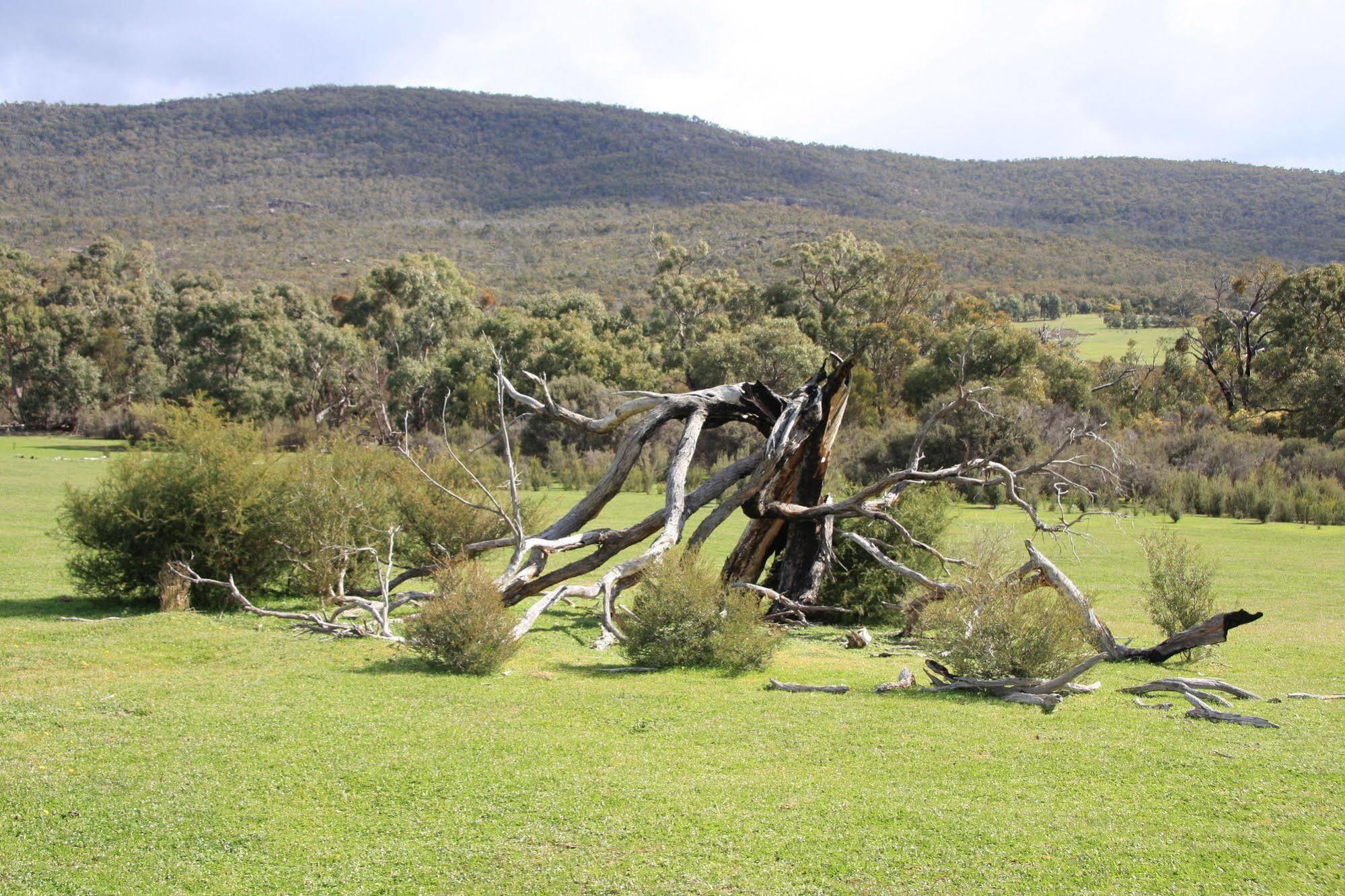 Villa Boroka Downs Halls Gap Exterior foto