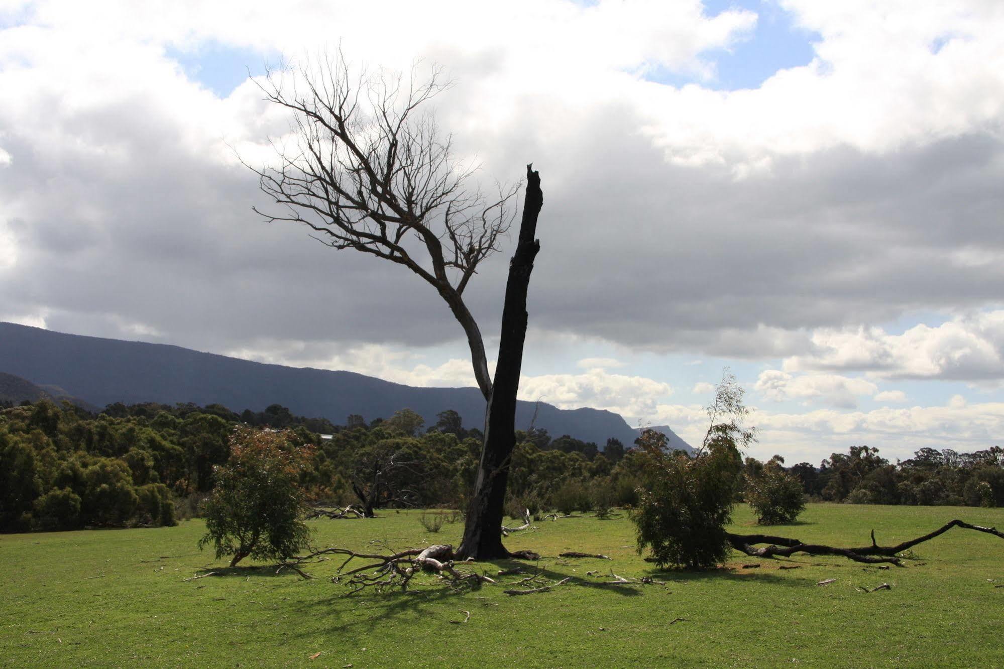 Villa Boroka Downs Halls Gap Exterior foto