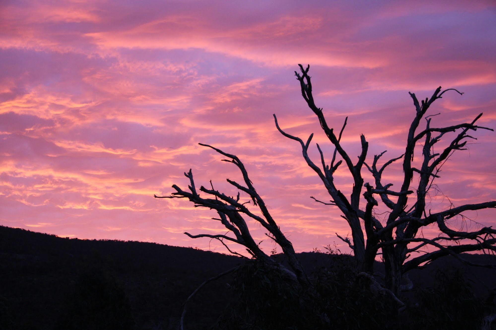 Villa Boroka Downs Halls Gap Exterior foto