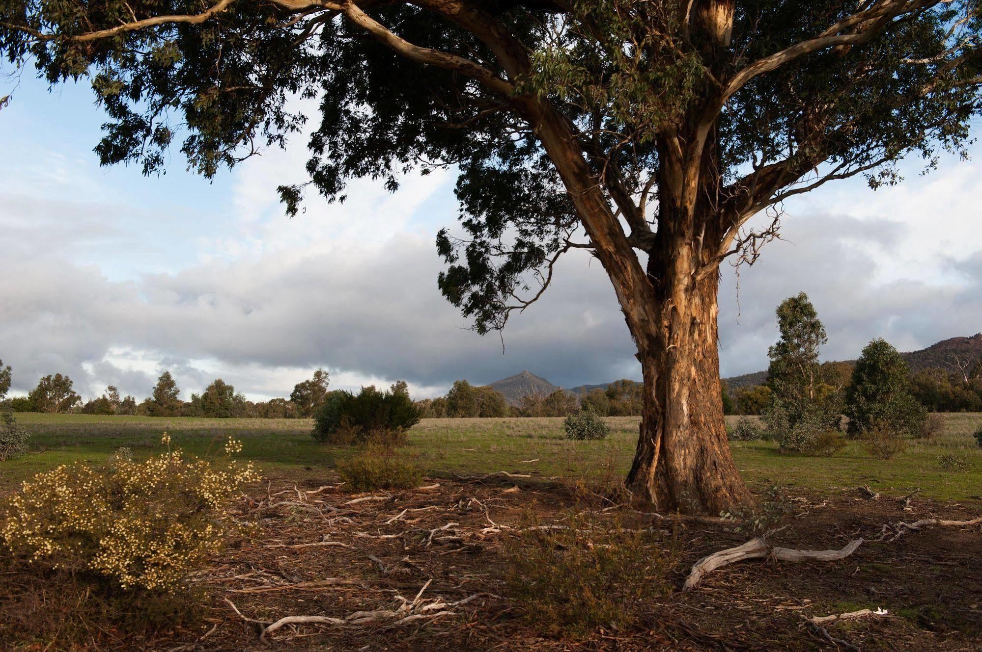 Villa Boroka Downs Halls Gap Exterior foto