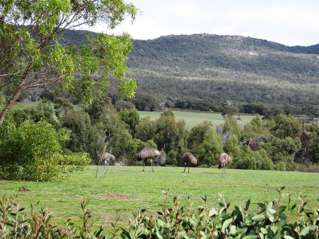 Villa Boroka Downs Halls Gap Exterior foto