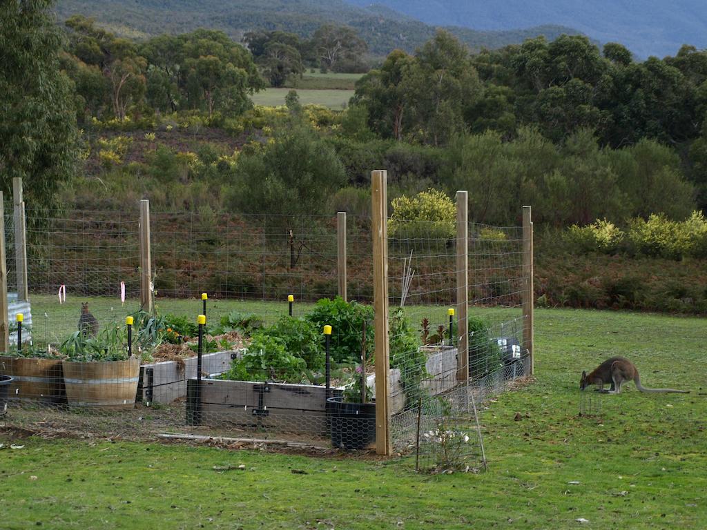 Villa Boroka Downs Halls Gap Exterior foto